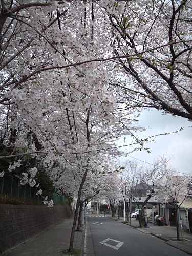 130329.jpg